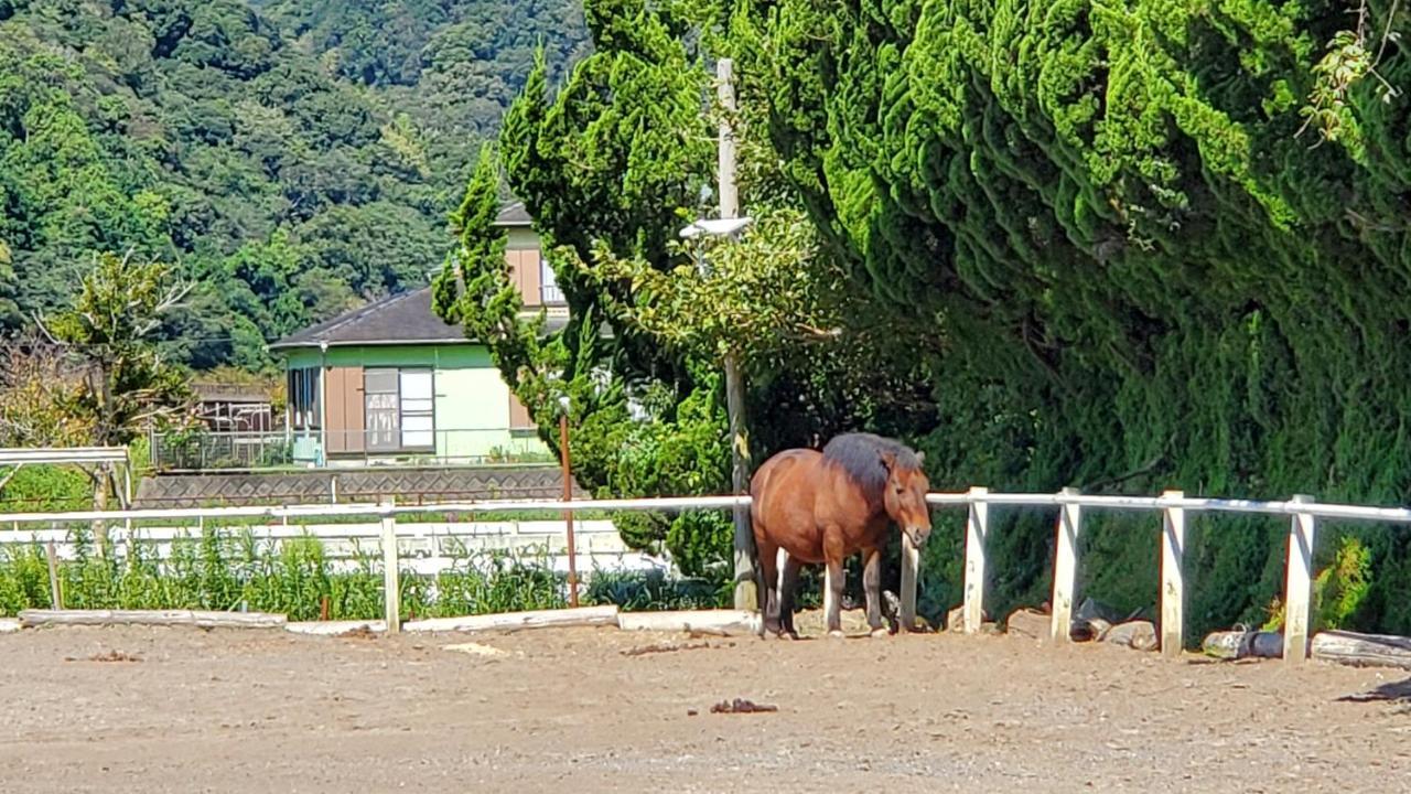 南伊豆町Ｋａｏｒｕ　Ｉｎｎ别墅 外观 照片