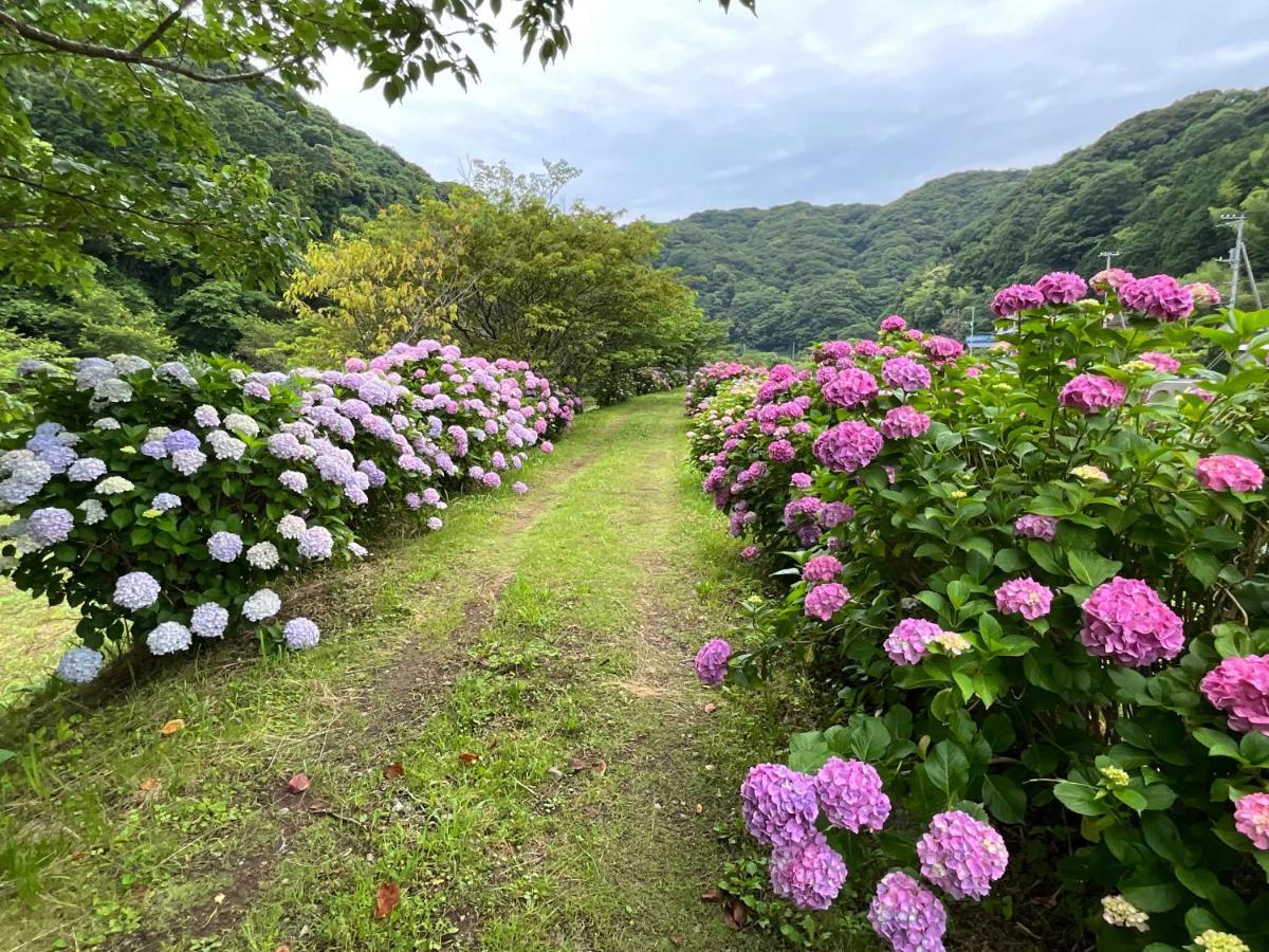 南伊豆町Ｋａｏｒｕ　Ｉｎｎ别墅 外观 照片