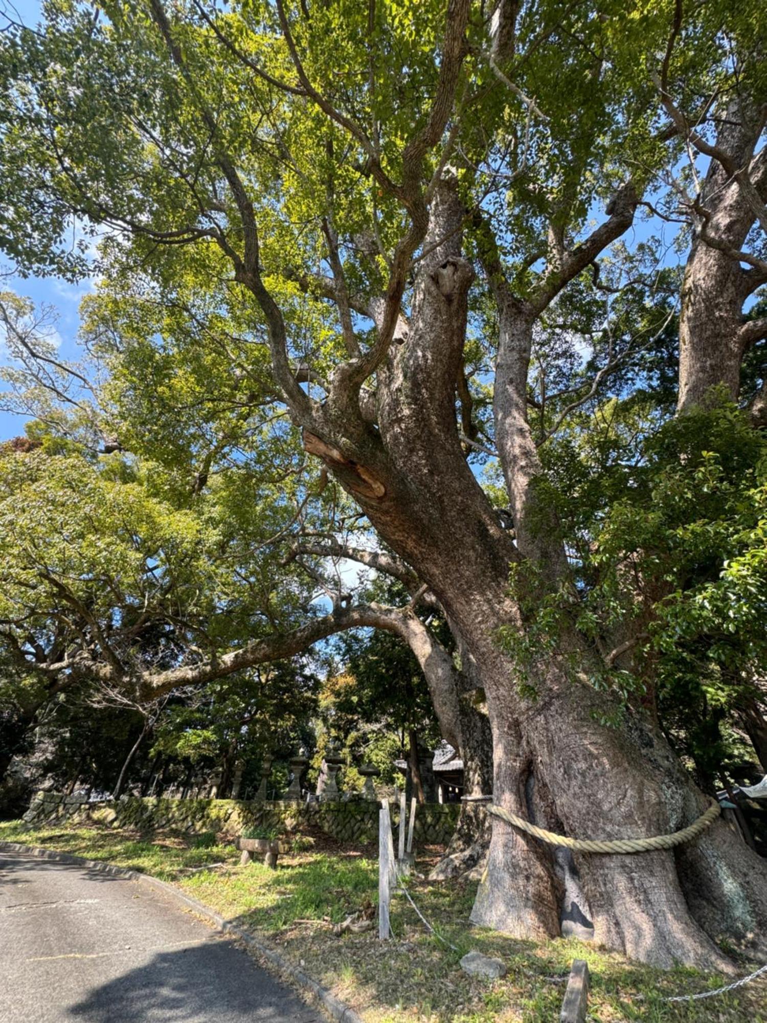 南伊豆町Ｋａｏｒｕ　Ｉｎｎ别墅 外观 照片